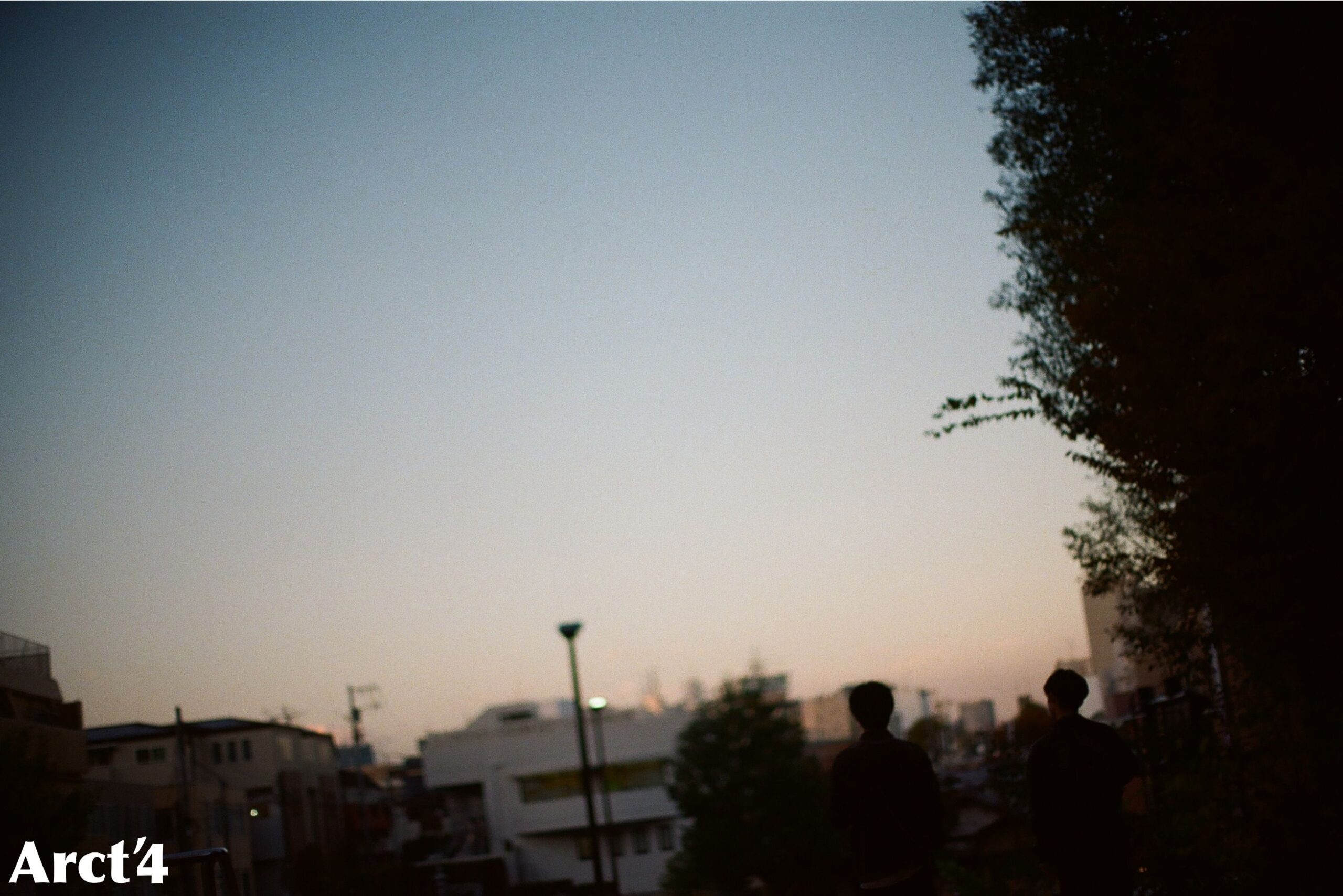 Image Alt